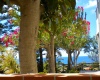 Residence, Affitto per vacanze, ID Struttura 1141,  TONICELLO, capo vaticano, vibo valentia, Italy, 89865,