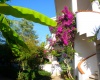 Residence, Affitto per vacanze, ID Struttura 1141,  TONICELLO, capo vaticano, vibo valentia, Italy, 89865,