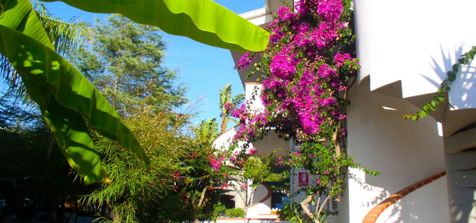Residence, Affitto per vacanze, ID Struttura 1141,  TONICELLO, capo vaticano, vibo valentia, Italy, 89865,